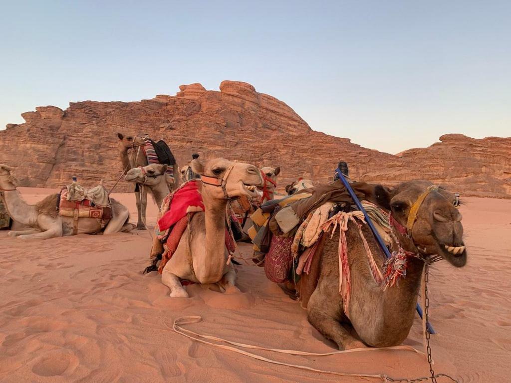 Space Village Luxury Camp Wadi Rum Esterno foto